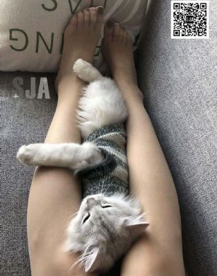 一区二区三区免费手机_4K完整视频观看