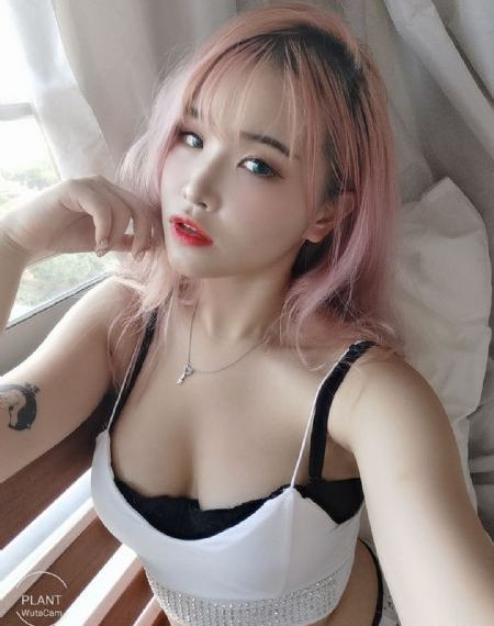 免费国产人妖网站_国语版完整版